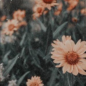 Meet your Posher, Kathleen